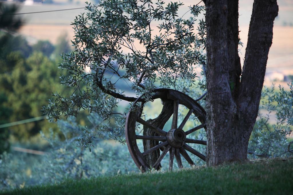Agriturismo Il Girasole مونتيفالكو المظهر الخارجي الصورة
